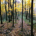 Sheltowee Trace, Clear Creek Furnace - 08